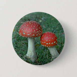 Badge Rond 5 Cm Agarics de mouche (muscaria d'amanite)