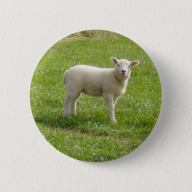 Badge Rond 5 Cm Agneau (Devant)