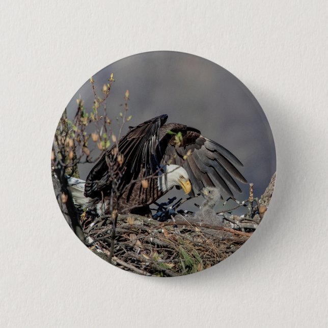 Badge Rond 5 Cm Aigle avec son bébé (Devant)