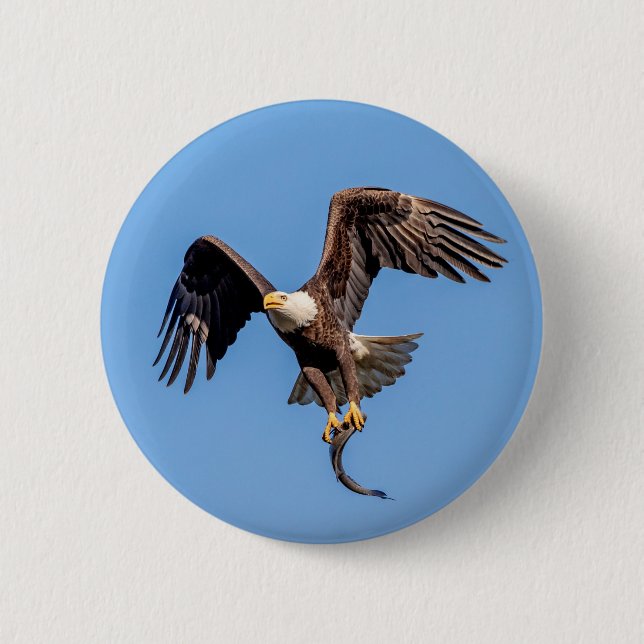 Badge Rond 5 Cm Aigle Bald avec un poisson (Devant)