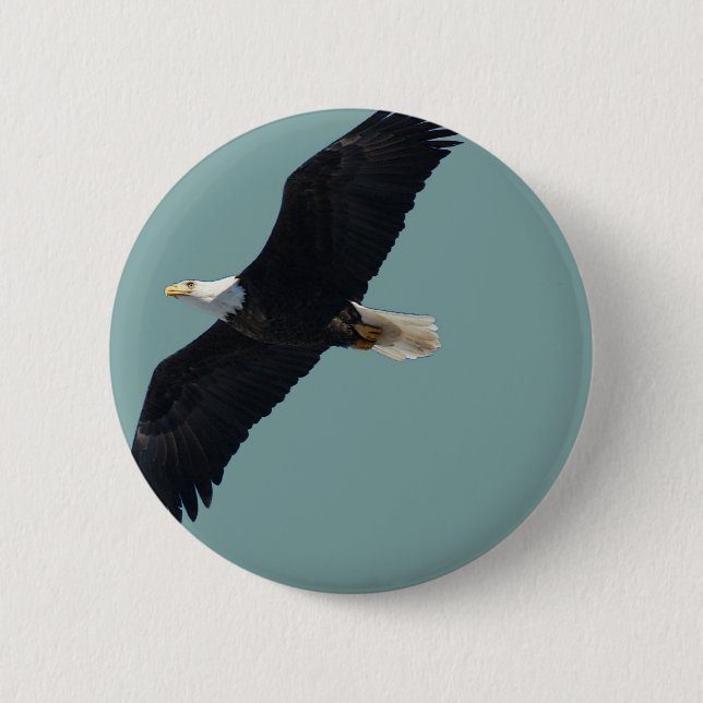 Badge Rond 5 Cm aigle chauve en vol (Devant)