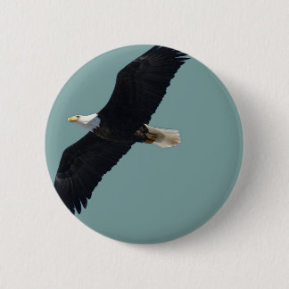 Badge Rond 5 Cm aigle chauve en vol