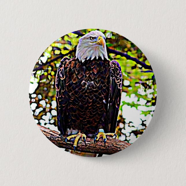 Badge Rond 5 Cm Aigle de Bald (Devant)