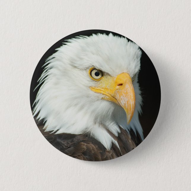 Badge Rond 5 Cm Aigle de Bald (Devant)