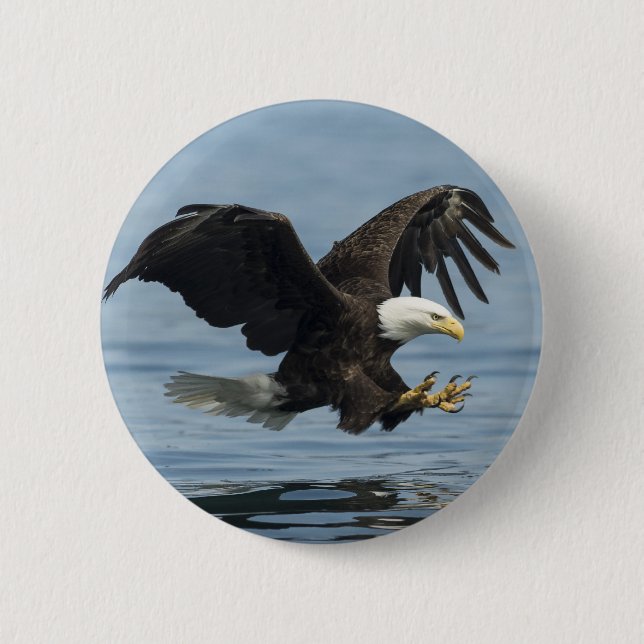 Badge Rond 5 Cm Aigle en approche (Devant)