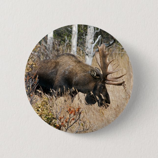 Badge Rond 5 Cm Aiguille (Devant)