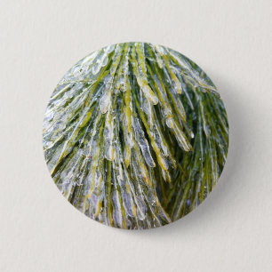 Badge Rond 5 Cm Aiguilles de pin recouvertes de glace, botanique h