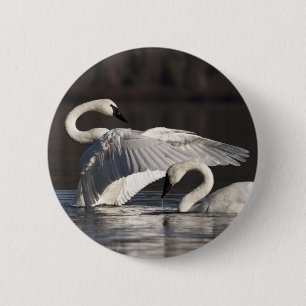 Badge Rond 5 Cm Aimer les cygnes