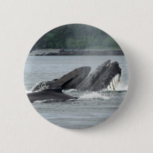 Badge Rond 5 Cm Alimentation des baleines à bosse