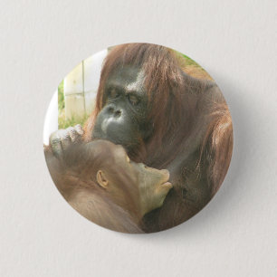 Badge Rond 5 Cm Allaiter d'orang-outan