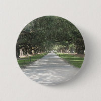 Allée de chêne chez Boone Hall, bouton de Sc de