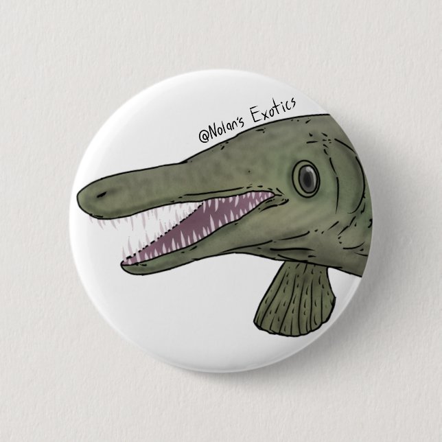 Badge Rond 5 Cm Alligator gar pin (Devant)