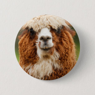 Badge Rond 5 Cm Alpaca