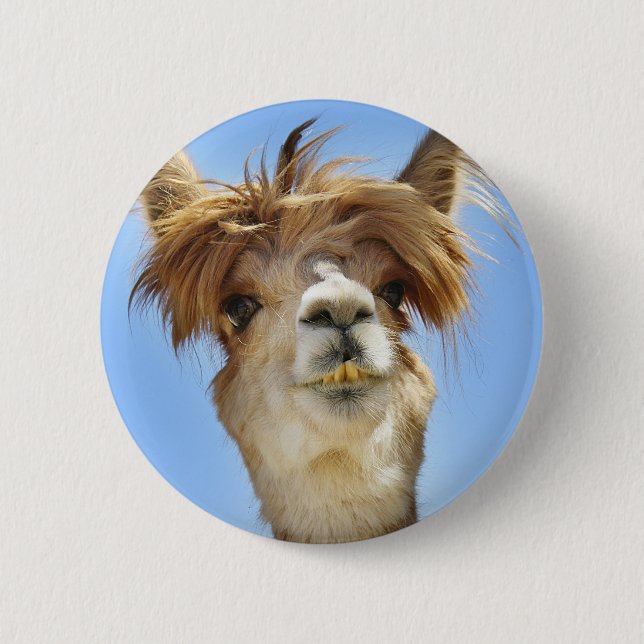 Badge Rond 5 Cm Alpaga fol de cheveux (Devant)