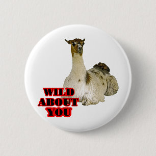 Badge Rond 5 Cm Amant de lama