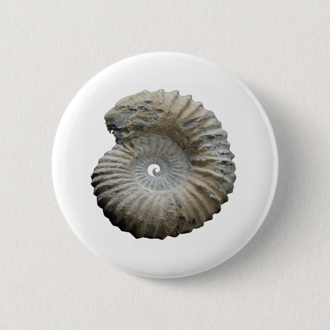 Badge Rond 5 Cm ammonite (Devant)