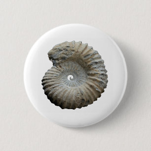 Badge Rond 5 Cm ammonite