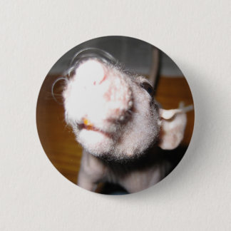 Badge Rond 5 Cm Amour chauve de rat