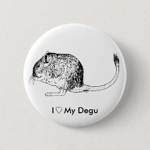 Badge Rond 5 Cm Amour Degus - goupilles