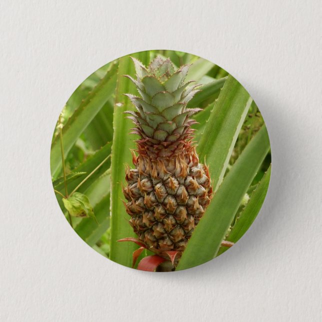 Badge Rond 5 Cm Ananas sauvage Fruit tropical dans la nature (Devant)