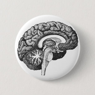 Badge Rond 5 Cm Anatomie médicale vintage illustration cerveau hum