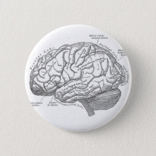 Badge Rond 5 Cm Anatomie vintage de cerveau