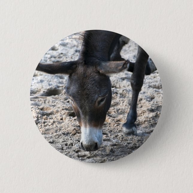 Badge Rond 5 Cm Âne (Devant)
