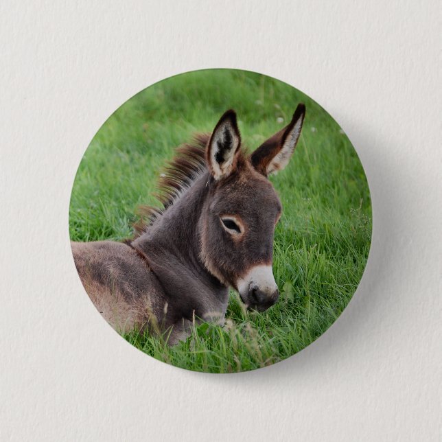Badge Rond 5 Cm Âne dans l'herbe (Devant)