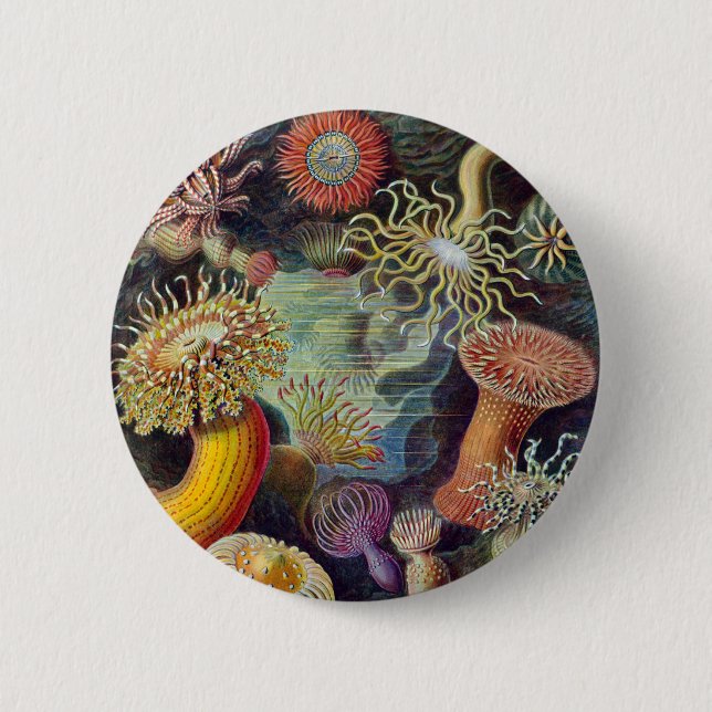 Badge Rond 5 Cm Anémone de mer Nature scientifique Océan (Devant)