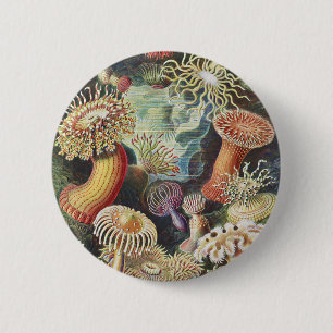 Badge Rond 5 Cm Anémones de mer de Haeckel Collage d'art de vie na