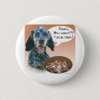 Anglais Setter Turquie