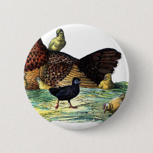 Badge Rond 5 Cm Animal de cru de poulets