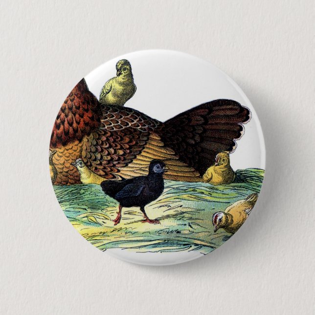 Badge Rond 5 Cm Animal de cru de poulets (Devant)
