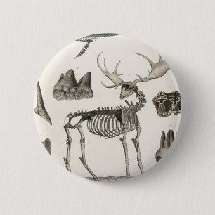 Badge Rond 5 Cm animal, os, structure, squelette, os, anatomie,