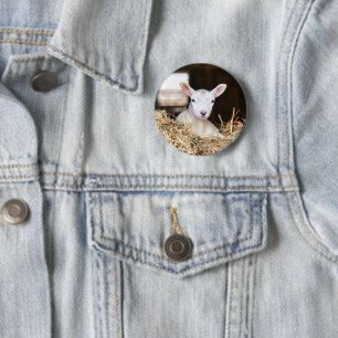 Badge Rond 5 Cm Animaux de bébés cutest   Agneau nouveau-né