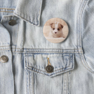 Badge Rond 5 Cm Animaux de bébés cutest   Baby Corgi