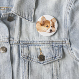 Badge Rond 5 Cm Animaux de bébés cutest Baby Corgi Portrait de c