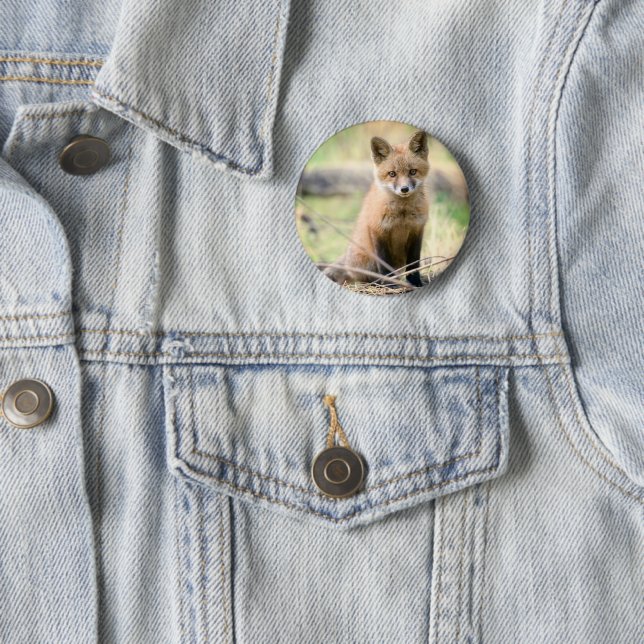 Badge Rond 5 Cm Animaux de bébés cutest | Baby Fox (En situation)