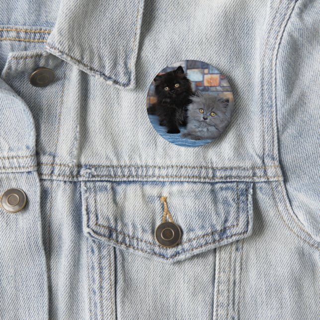 Badge Rond 5 Cm Animaux de bébés cutest | Chatons persans sur couv (En situation)