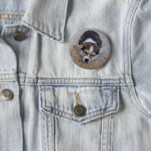 Badge Rond 5 Cm Animaux de bébés cutest   Corgi Chiot sur Shag Rug