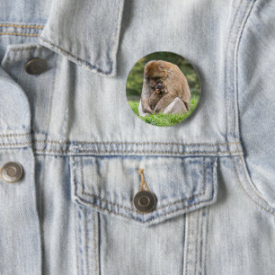 Badge Rond 5 Cm Animaux de bébés cutest Famille Barbary Macaque