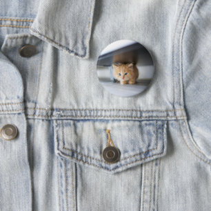 Badge Rond 5 Cm Animaux de bébés cutest   Fluffy Orange Kitten