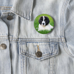 Badge Rond 5 Cm Animaux de bébés cutest   Newfoundland Puppy