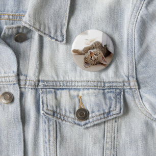 Badge Rond 5 Cm Animaux de bébés cutest Shorthair Tabby Kitten