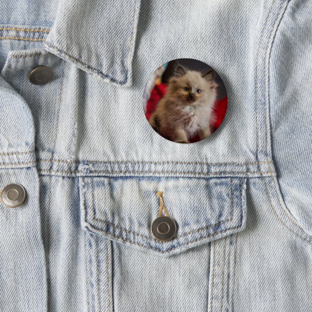 Badge Rond 5 Cm Animaux de bébés cutest | Siamese Kitten (En situation)