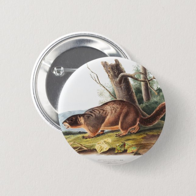 Badge Rond 5 Cm Animaux de marmottes à ventre jaune (Devant & derrière)