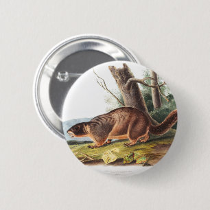 Badge Rond 5 Cm Animaux de marmottes à ventre jaune