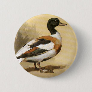 Badge Rond 5 Cm Animaux sauvages vintages Oiseaux, Canard colvert