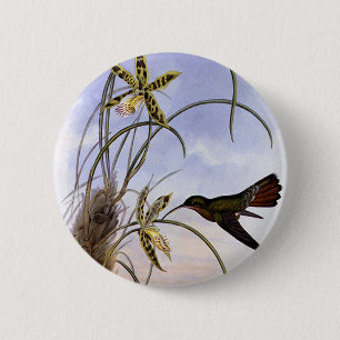 Badge Rond 5 Cm Animaux vintage, fleurs d'orchidées colibris