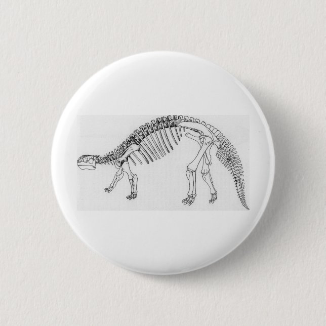 Badge Rond 5 Cm Ankylosaurus (Devant)